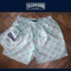 Vilbrequin Shorts - Image 6