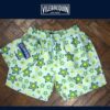 Vilbrequin Shorts - Image 3